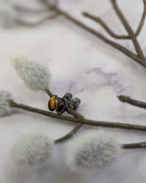 Tiger's Eye Stud Earrings